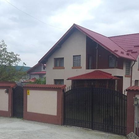 Vila De Vacanta Curtea De Arges Curtea de Argeş Exterior foto