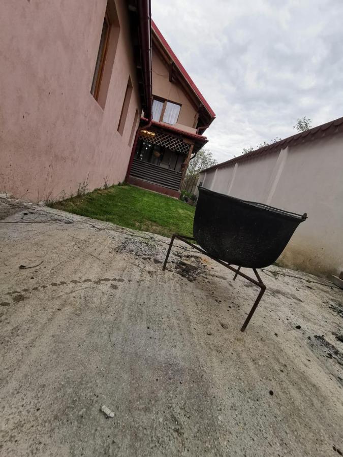 Vila De Vacanta Curtea De Arges Curtea de Argeş Exterior foto